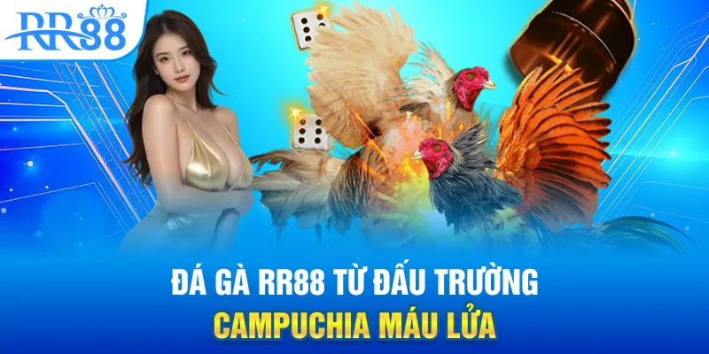 da-ga-rr88-tu-dau-truong-campuchia-mau-lua
